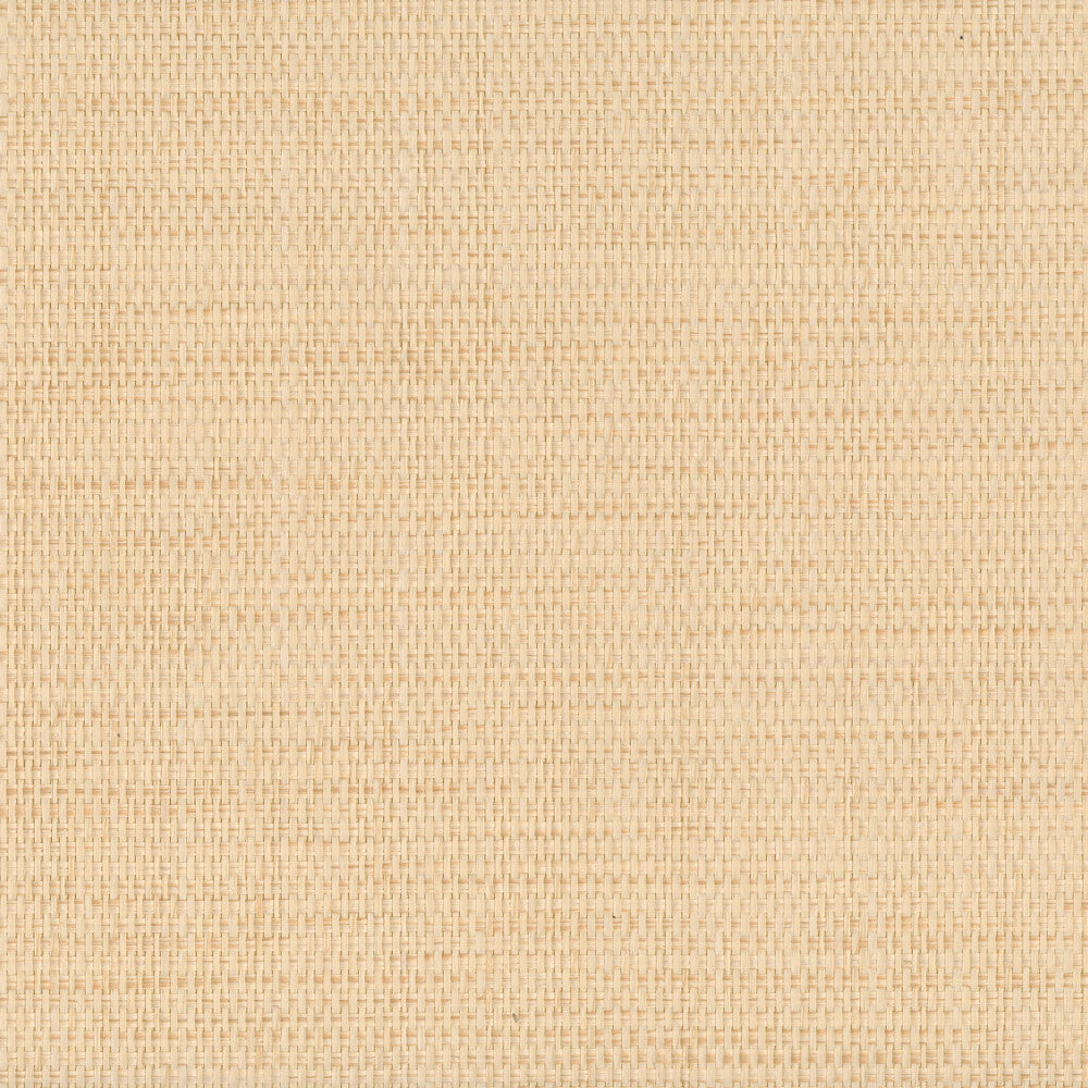 9048 20WS121 by JF Wallcovering INDOCHINE 100% Wallpaper China Horizontal: and Vertical: 36 inches, 8 yards per roll. - Fabric Carolina -