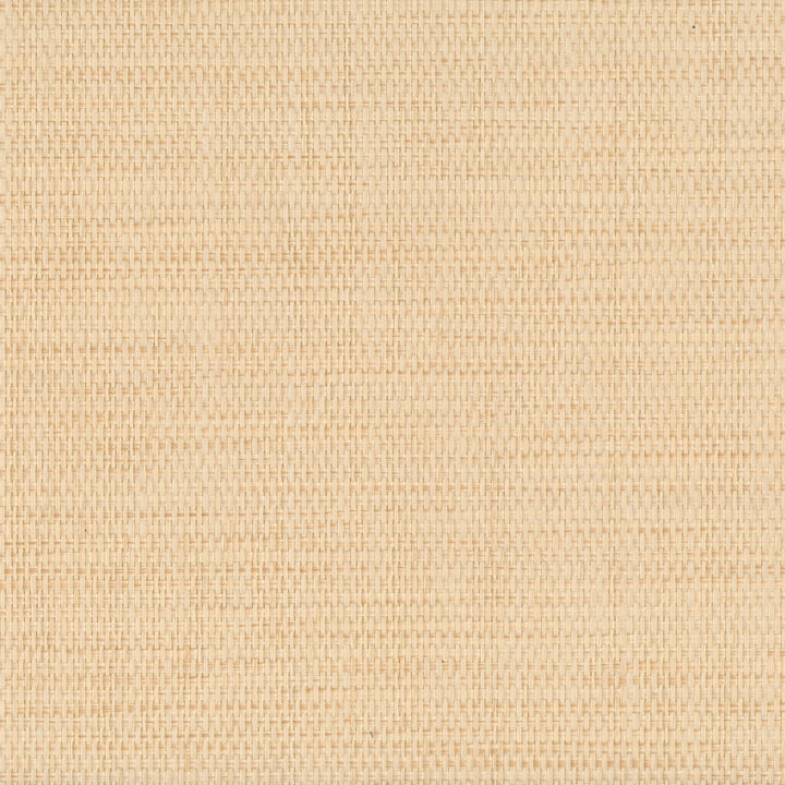 9048 20WS121 by JF Wallcovering INDOCHINE 100% Wallpaper China Horizontal: and Vertical: 36 inches, 8 yards per roll. - Fabric Carolina -