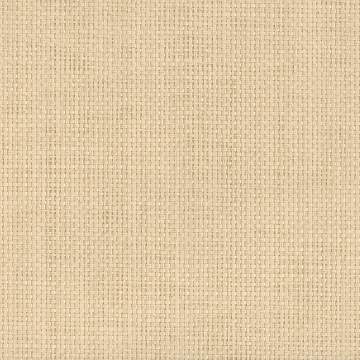 9049 11WS121 by JF Wallcovering INDOCHINE 100% Wallpaper China Horizontal: and Vertical: 36 inches, 8 yards per roll. - Fabric Carolina -