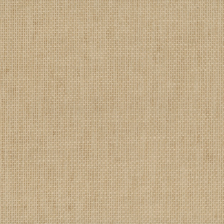 9051 14WS121 by JF Wallcovering INDOCHINE 100% Wallpaper China Horizontal: and Vertical: N 36 - Fabric Carolina -