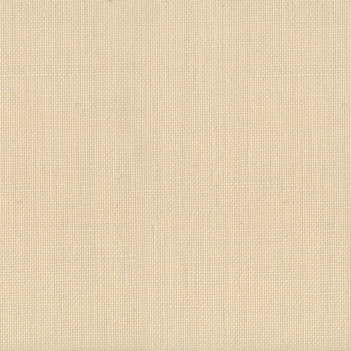 9070 10WS121 by JF Wallcovering INDOCHINE 100% Wallpaper China Horizontal: and Vertical: 36 inches, 8 yards per roll. - Fabric Carolina -