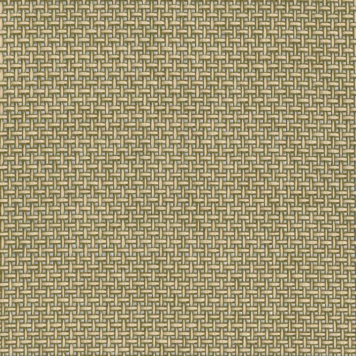 9077 76WS121 by JF Wallcovering INDOCHINE 100% Wallpaper China Horizontal: and Vertical: N 36 - Fabric Carolina -