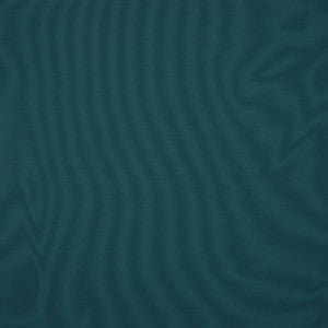 SJA 3986 137 Canvas Rainforest by Sunbrella Fabric