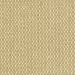 9087 17Ws121 By JF Wallcovering