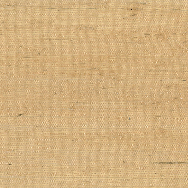 9089 20Ws121 by JF Wallcovering INDOCHINE 100% Wallpaper China Horizontal: and Vertical: 36 - Fabric Carolina -