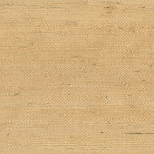 9089 20Ws121 By JF Wallcovering