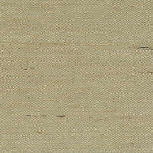 9098 70Ws121 By JF Wallcovering