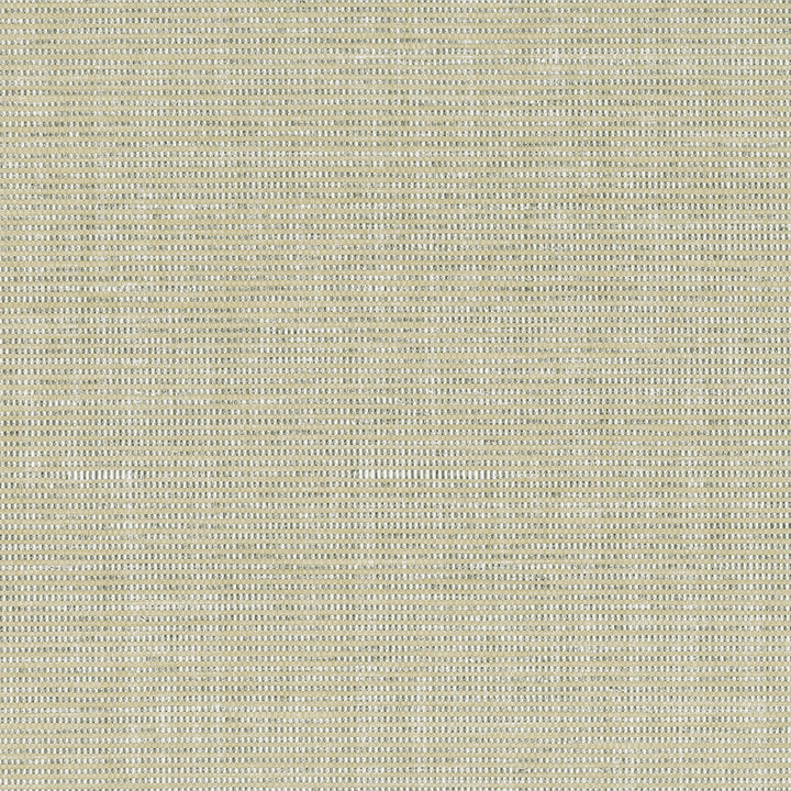 9135 92Ws121 by JF Wallcovering INDOCHINE 100% Wallpaper Republic Of Korea Horizontal: and Vertical: 36 - Fabric Carolina -