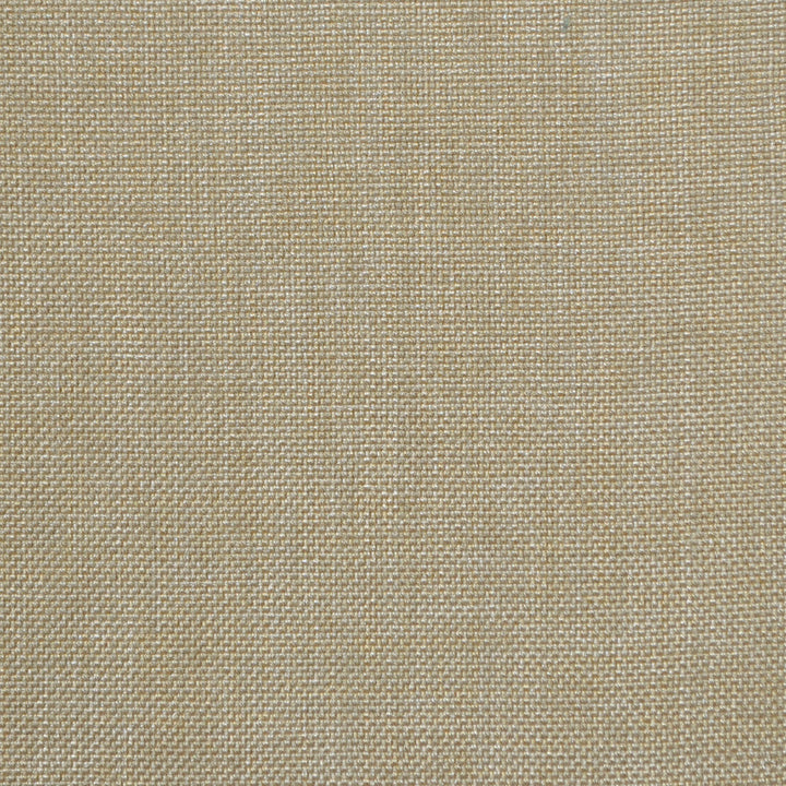 Groupie Sandstone Rb20 217 by P Kaufmann Fabrics Fabric