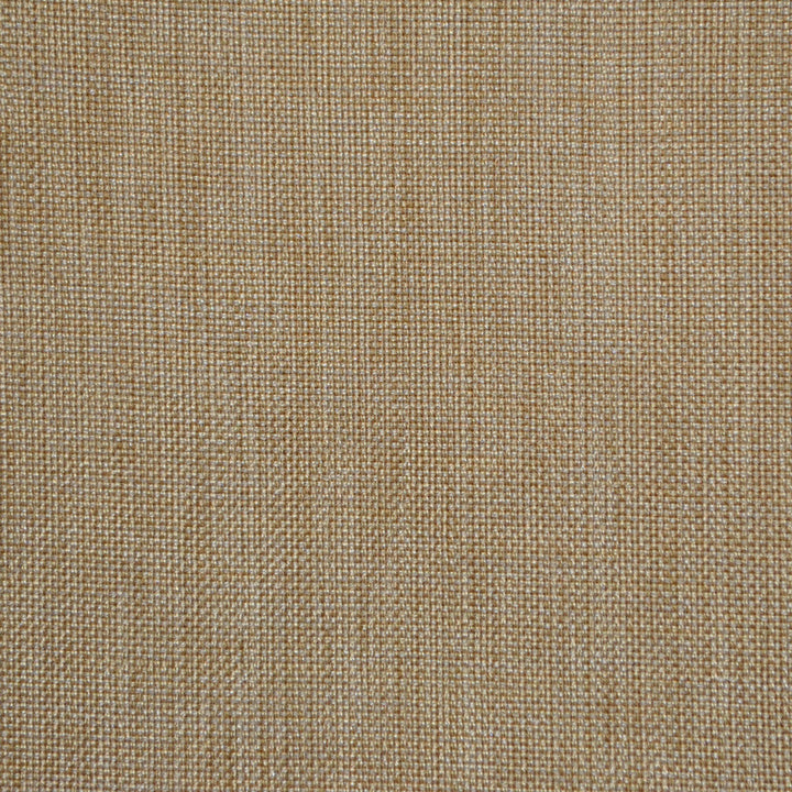 Groupie Alabaster Rb20 11 by P Kaufmann Fabrics Fabric