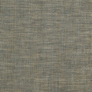 Groupie Slate Rb20 456 by P Kaufmann Fabrics Fabric