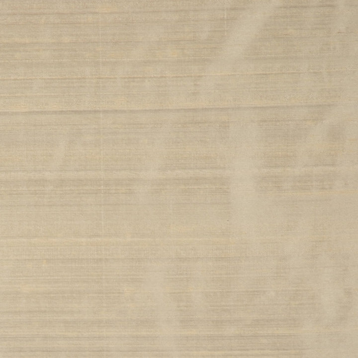 RM DUPIONI TAN by RM CoCo Fabric