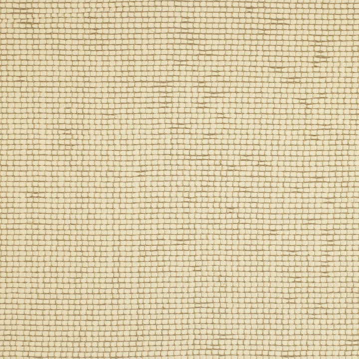 Semisheer Linen by Kravet Couture Fabric