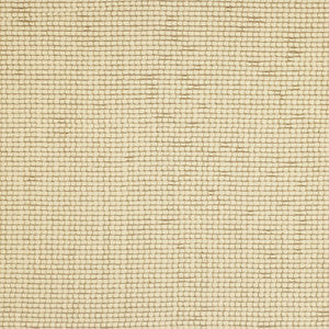 Semisheer Linen by Kravet Couture Fabric