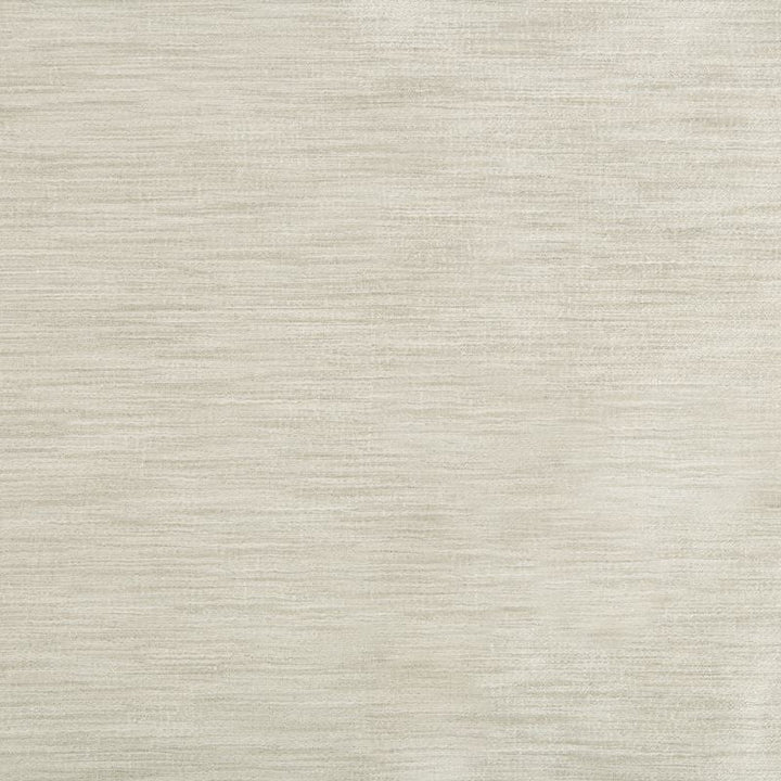 9413.121 by Kravet Basics Designer Fabric in our sample Polyester 75%, Viscose 25% India Light Horizontal: See Sample and Vertical: See Sample 54 inches - Swanky Fabrics -