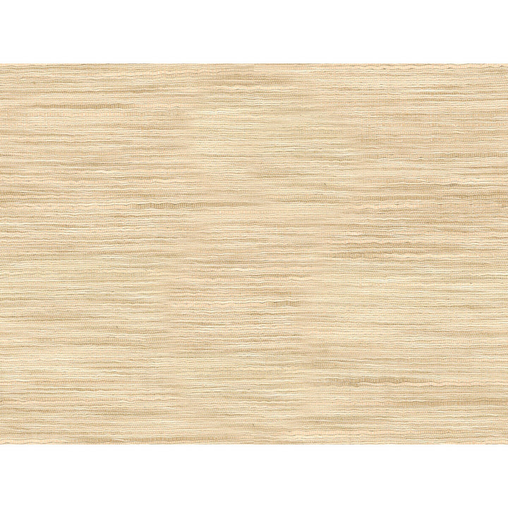 9413-111 by Kravet Basics Fabric POLYESTER - 75%;VISCOSE - 25% India LIGHT Horizontal: 0 and Vertical: 0 54 - Fabric Carolina -
