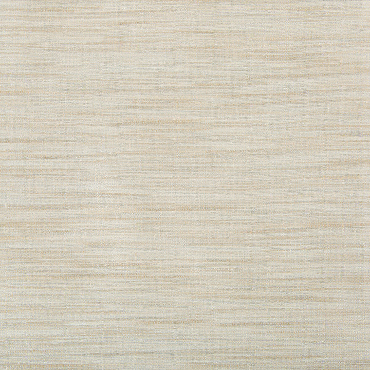 9413-113 by Kravet Basics Fabric - POLYESTER - 75%;VISCOSE - 25% India LIGHT Horizontal: 0 and Vertical: 0 54 - Fabric Carolina -