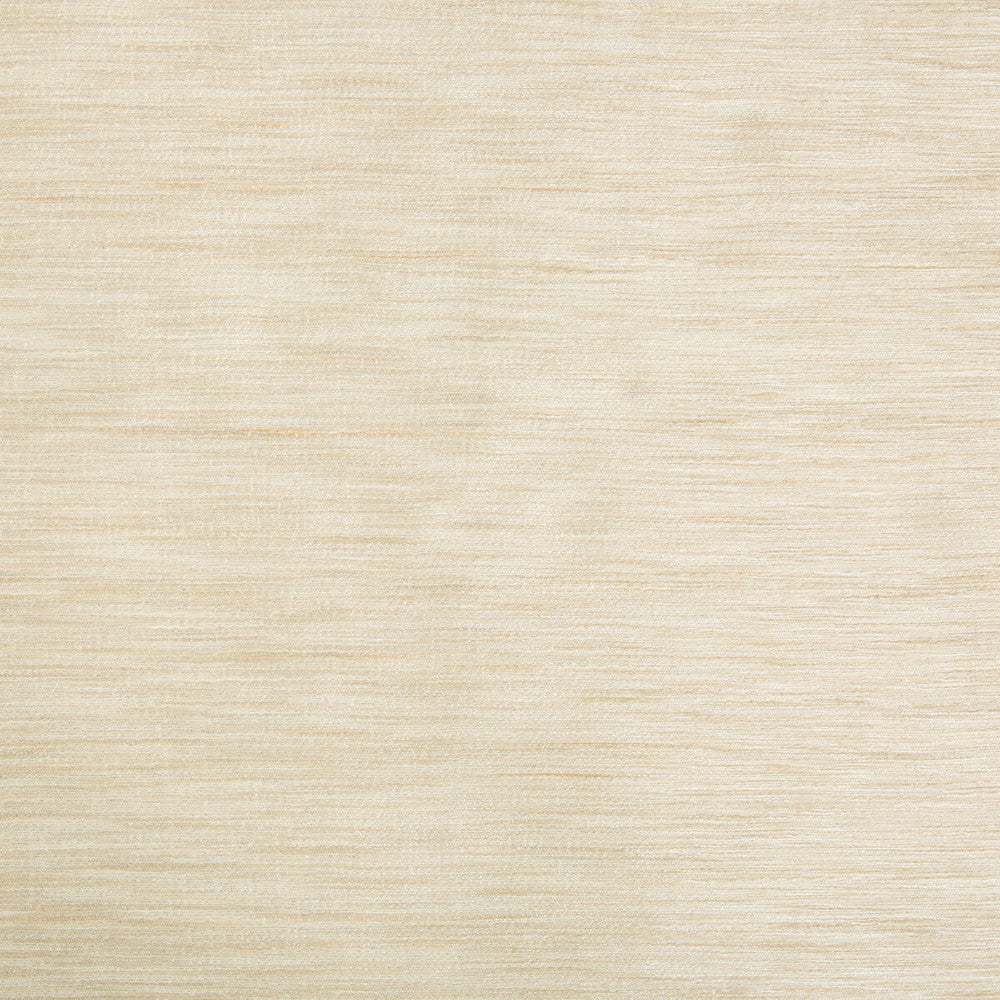 9413-1161 by Kravet Basics Fabric POLYESTER - 75%;VISCOSE - 25% India LIGHT Horizontal: 0 and Vertical: 0 54 - Fabric Carolina -