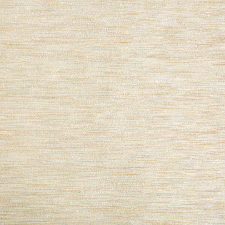 9413-1161 by Kravet Basics Fabric - POLYESTER - 75%;VISCOSE - 25% India LIGHT Horizontal: 0 and Vertical: 0 54 - Fabric Carolina -