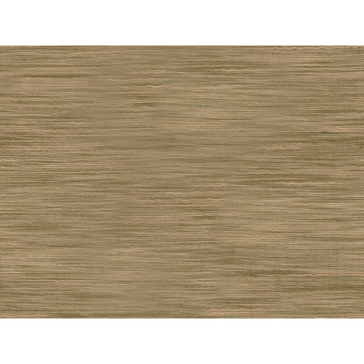 9413-11 by Kravet Basics Fabric - POLYESTER - 75%;VISCOSE - 25% India LIGHT Horizontal: 0 and Vertical: 0 54 - Fabric Carolina -