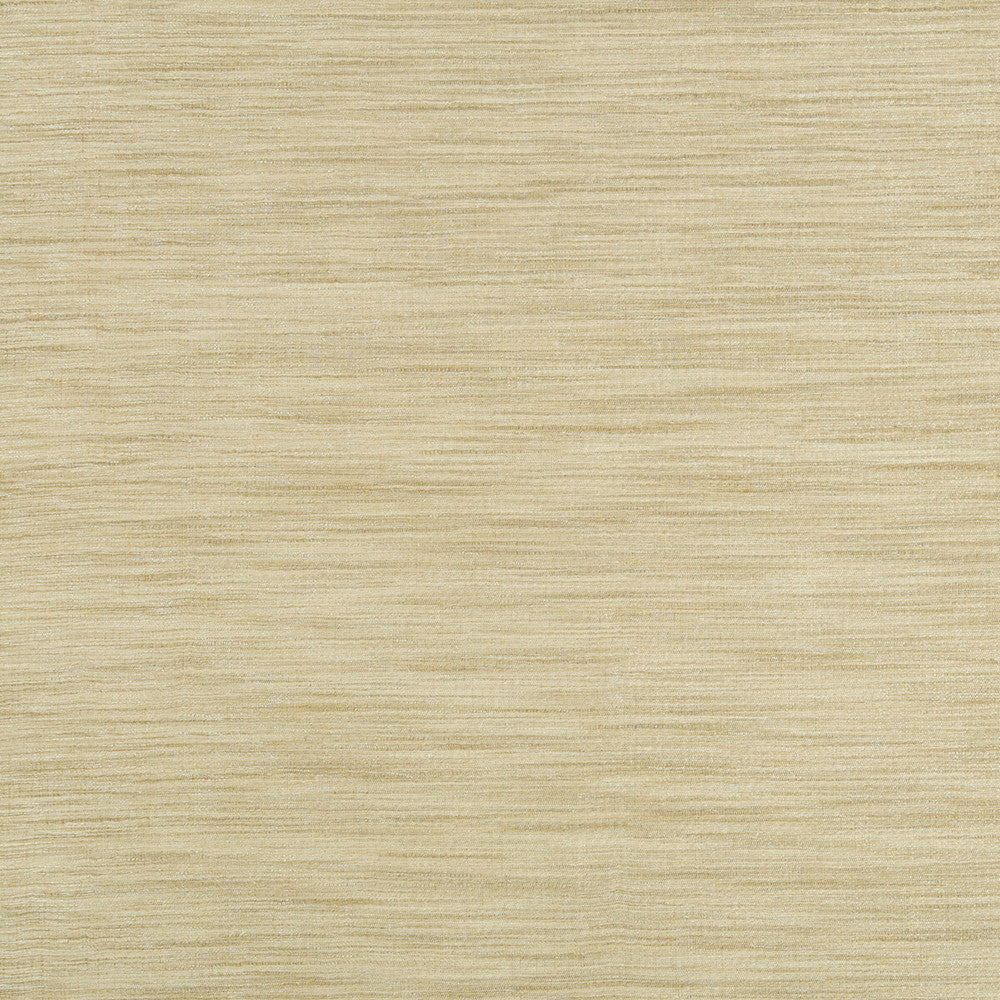 9413-161 by Kravet Basics Fabric - POLYESTER - 75%;VISCOSE - 25% India LIGHT Horizontal: 0 and Vertical: 0 54 - Fabric Carolina -