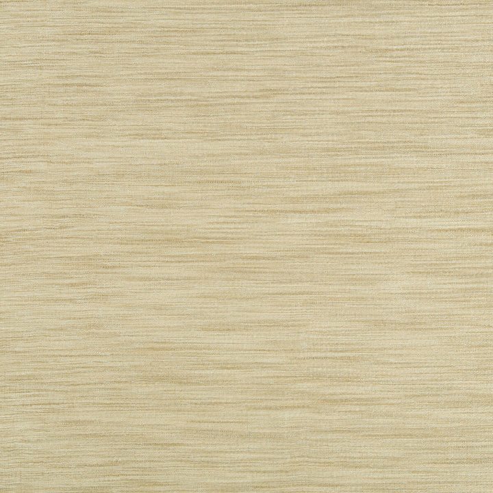 9413-161 by Kravet Basics Fabric POLYESTER - 75%;VISCOSE - 25% India LIGHT Horizontal: 0 and Vertical: 0 54 - Fabric Carolina -
