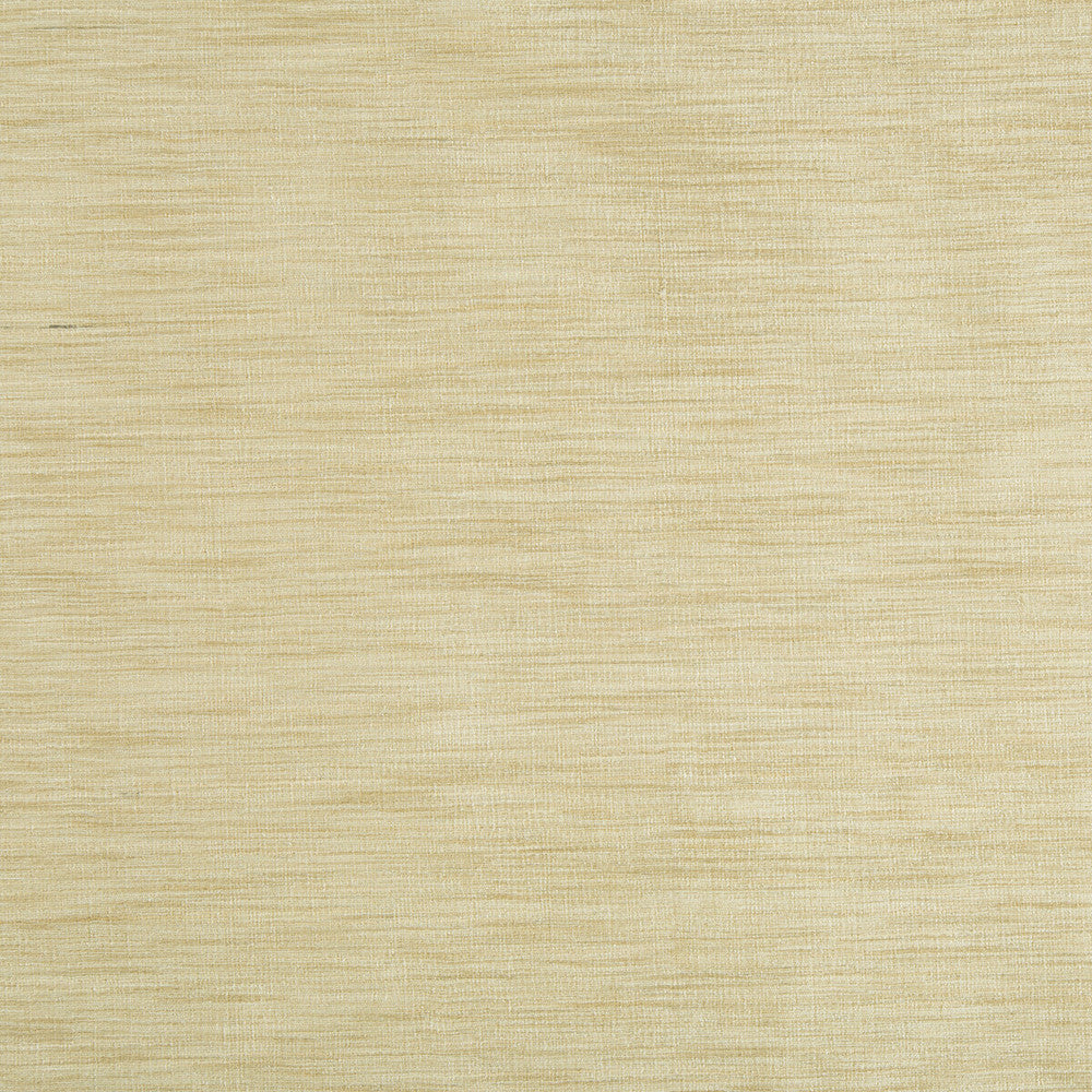 9413-1661 by Kravet Basics Fabric POLYESTER - 75%;VISCOSE - 25% India LIGHT Horizontal: 0 and Vertical: 0 54 - Fabric Carolina -
