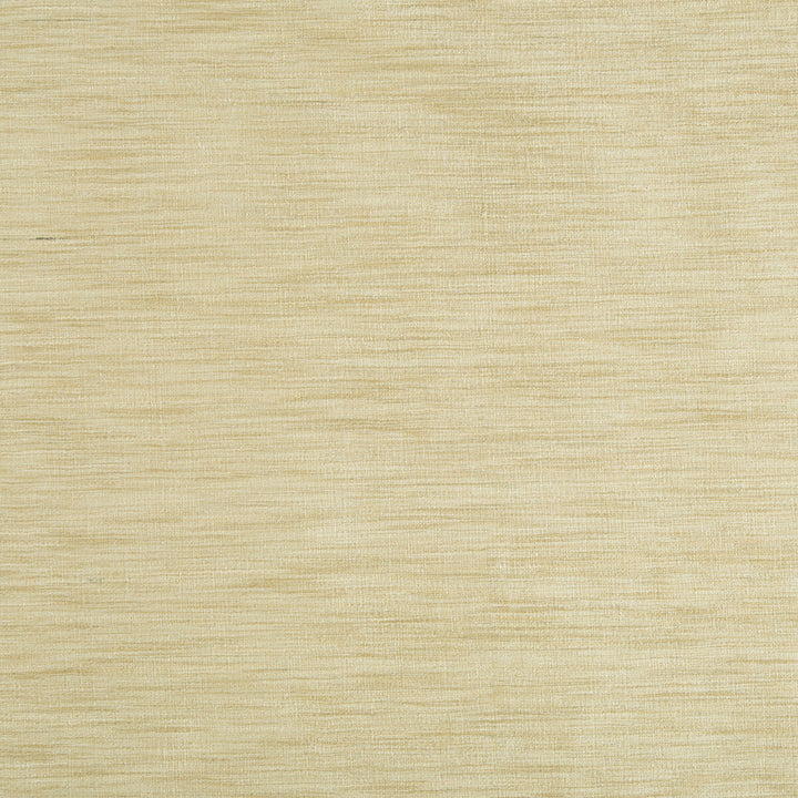9413-1661 by Kravet Basics Fabric POLYESTER - 75%;VISCOSE - 25% India LIGHT Horizontal: 0 and Vertical: 0 54 - Fabric Carolina -