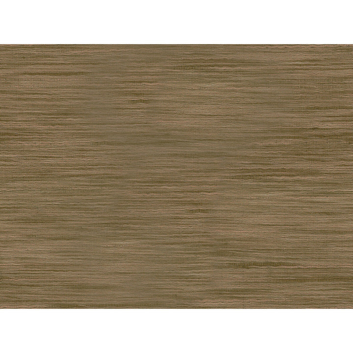 9413-21 by Kravet Basics Fabric - POLYESTER - 75%;VISCOSE - 25% India LIGHT Horizontal: 0 and Vertical: 0 54 - Fabric Carolina -