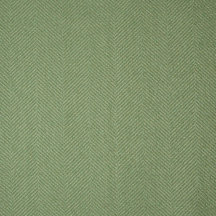 94191 Aloe by Greenhouse Fabric 82.93% Rayon, 15.37% Polyester, 1.7% Nylon USA 50,000 double rubs </p><p>Repeat: 2.5" V 56" - Fabric Carolina -