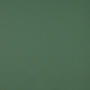 9447 Cypress by Charlotte Fabric