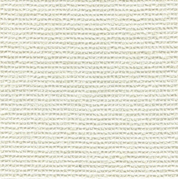 Natural Net Blanc by Kravet Couture Fabric