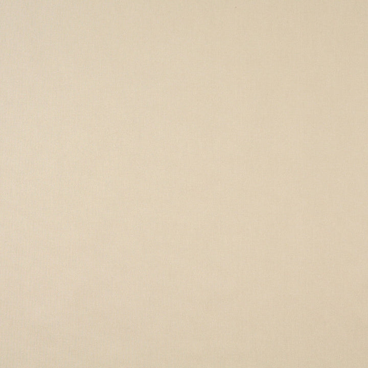 9458 Linen by Charlotte Designer Fabric Cotton Duck, Definitely Durable Duck 100% Cotton, 12oz. Preshrunk Cotton Duck Made In USA Exceeds 60,000 Wyzenbeek Rubs (Heavy Duty) No Repeat 54 Inches - Swanky Fabrics -