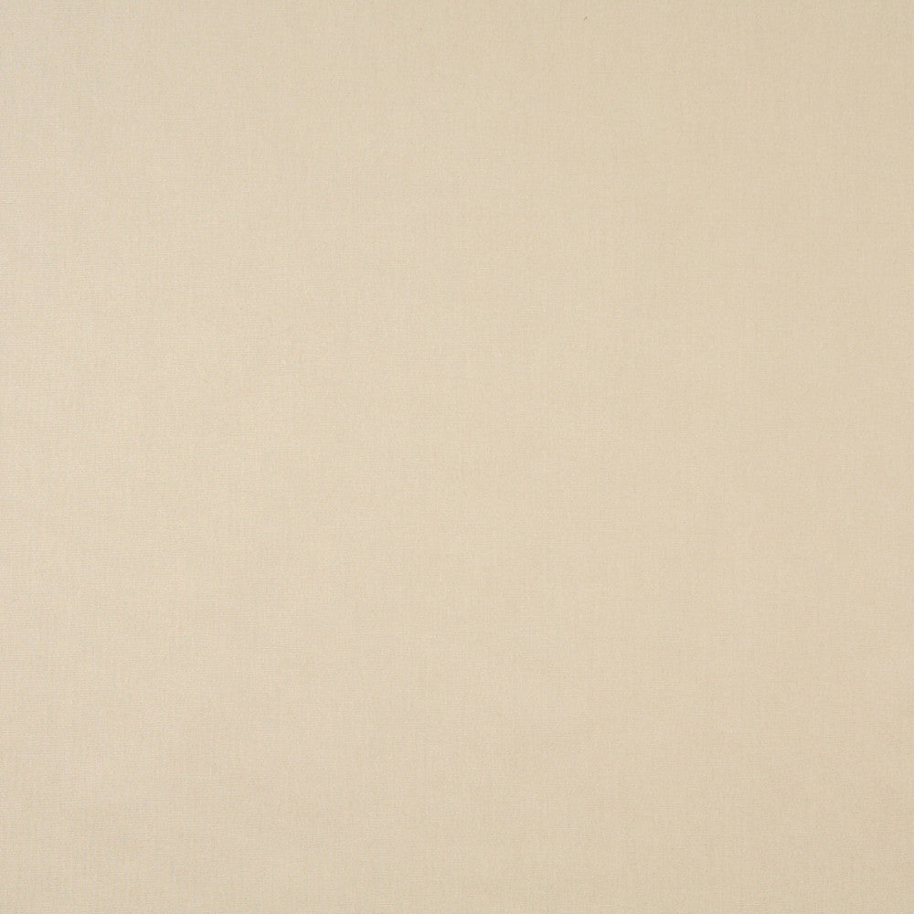 9458 Linen by Charlotte Designer Fabric Cotton Duck, Definitely Durable Duck 100% Cotton, 12oz. Preshrunk Cotton Duck Made In USA Exceeds 60,000 Wyzenbeek Rubs (Heavy Duty) No Repeat 54 Inches - Swanky Fabrics -