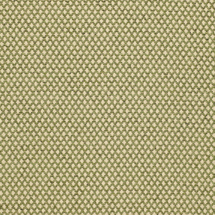 Losange Boucle' Leaf 94854 by Schumacher Fabric CHROMA F04 See Sample UNITED STATES OF AMERICA LIGHT DUTY </p><p>Repeat: Horizontal: 1/2" (1CM) and Vertical: 1/2" (1CM) 54" WIDE (137CM) - Fabric Carolina -