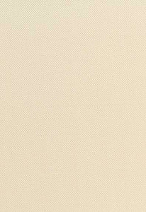 Mirabella Cotton Plain Ivory 94972 by Schumacher Fabric