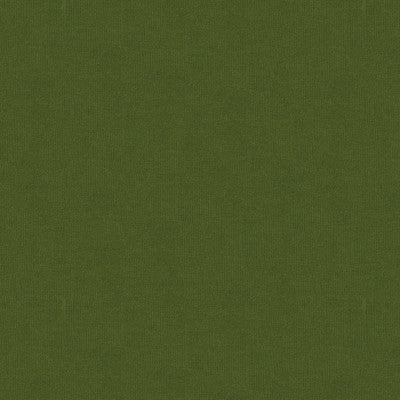 Spectrum Velvet Olive by Lee Jofa Fabric - COTTON - 100% Netherlands HEAVY Horizontal: 0 and Vertical: 0 54 - Fabric Carolina -