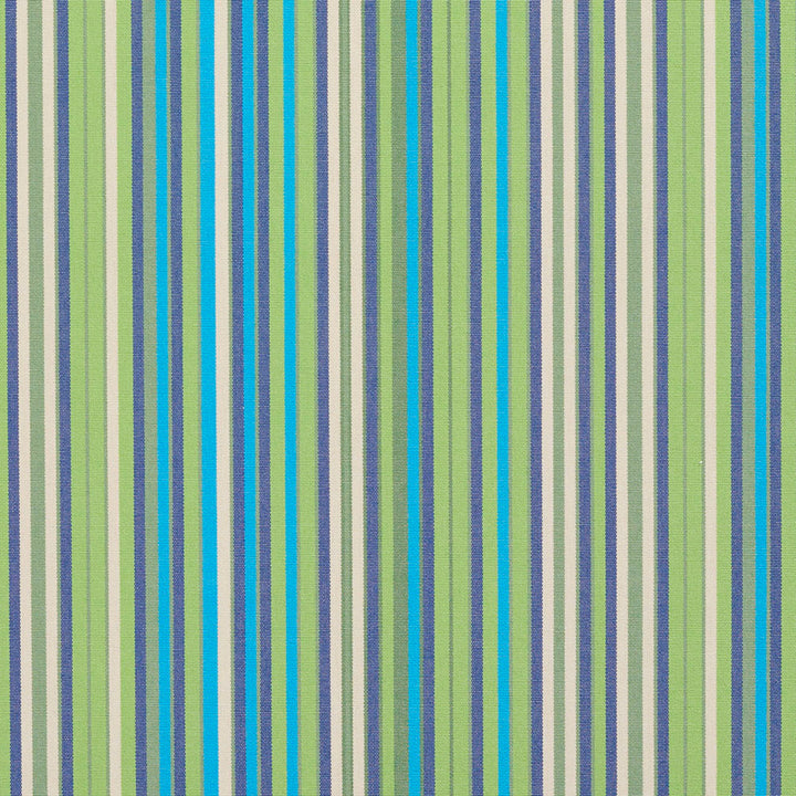 9553 Meadow by Charlotte Fabric All Seasons Volume 3 100% Solution Dyed Woven Acrylic Spain Exceeds 100,000 Wyzenbeek Rubs (Heavy Duty) </p><p>Repeat: Horizontal: 9.5" 54 Inches - Fabric Carolina -