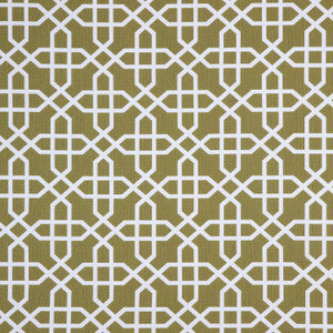 145098-0001 by Sunbrella Fabric