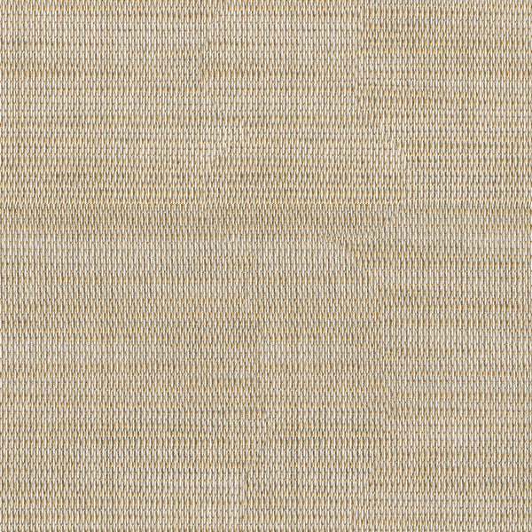 Lele Sand by Kravet Design Fabric