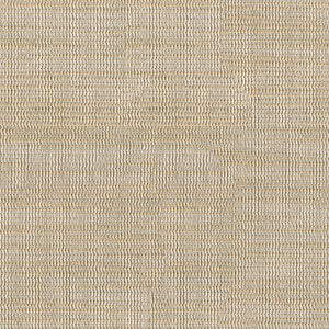 Lele Sand by Kravet Design Fabric