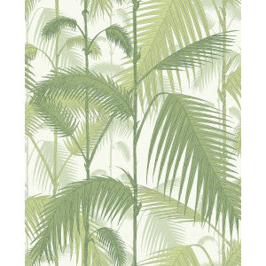Palm Jungle Olive Gre/White by Cole & Son Wallcovering