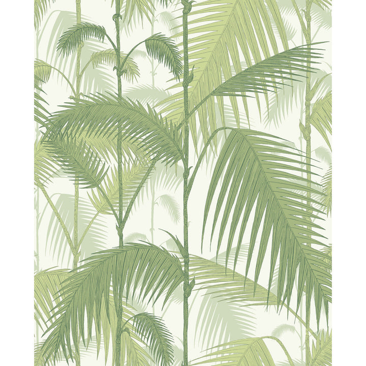 Palm Jungle Olive Gre/White by Cole & Son Wallcovering Cole & Son Wallcovering Palm Jungle Olive Gre/WhiteWallcovering CONTEMPORARY RESTYLED PAPER - 100% United Kingdom </p><p>Repeat: H: 20.5, V: 25 20.5 - Fabric Carolina -