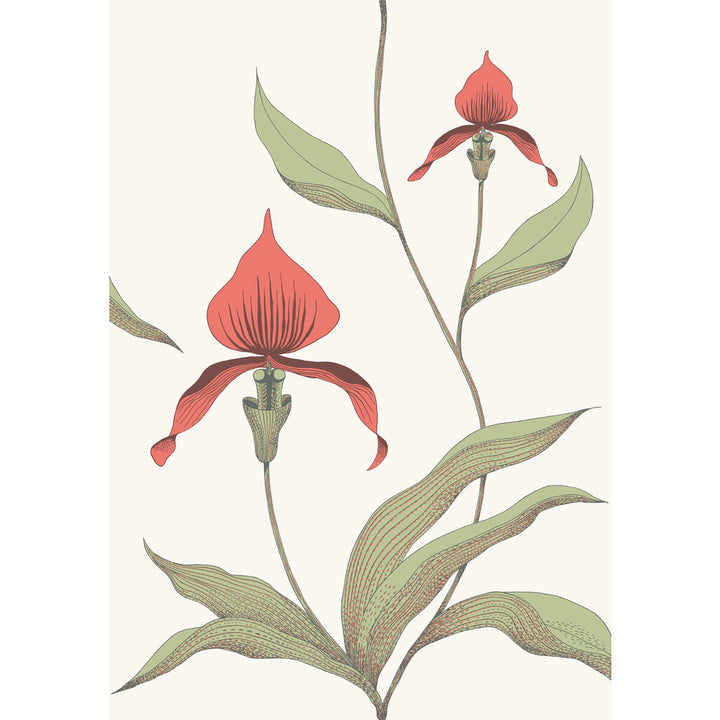 Orchid Red/White by Cole & Son Wallcovering CONTEMPORARY RESTYLED PAPER - 100% United Kingdom - Horizontal: 21 and Vertical: 30 21 - Fabric Carolina -