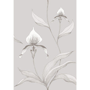 Orchid Grey/White by Cole & Son Wallcovering
