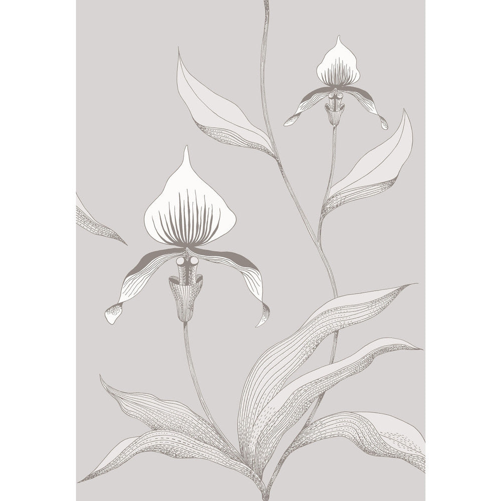 Orchid Grey/White by Cole & Son Wallcovering CONTEMPORARY RESTYLED PAPER - 100% United Kingdom - Horizontal: 21 and Vertical: 30 21 - Fabric Carolina -