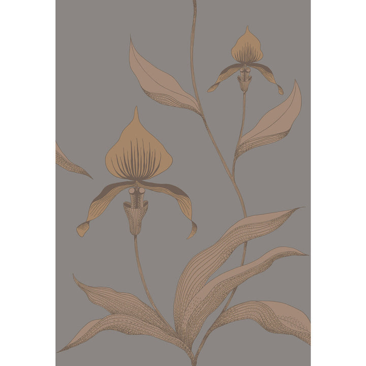 Orchid Bronze/Slate by Cole & Son Wallcovering CONTEMPORARY RESTYLED PAPER - 100% United Kingdom Horizontal: 21 and Vertical: 30 21 - Fabric Carolina -