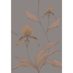 Orchid Bronze/Slate by Cole & Son Wallcovering