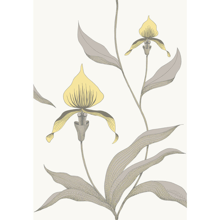 Orchid Yellow/White by Cole & Son Wallcovering CONTEMPORARY RESTYLED PAPER - 100% United Kingdom Horizontal: 21 and Vertical: 30 21 - Fabric Carolina -