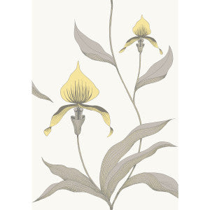 Orchid Yellow/White by Cole & Son Wallcovering